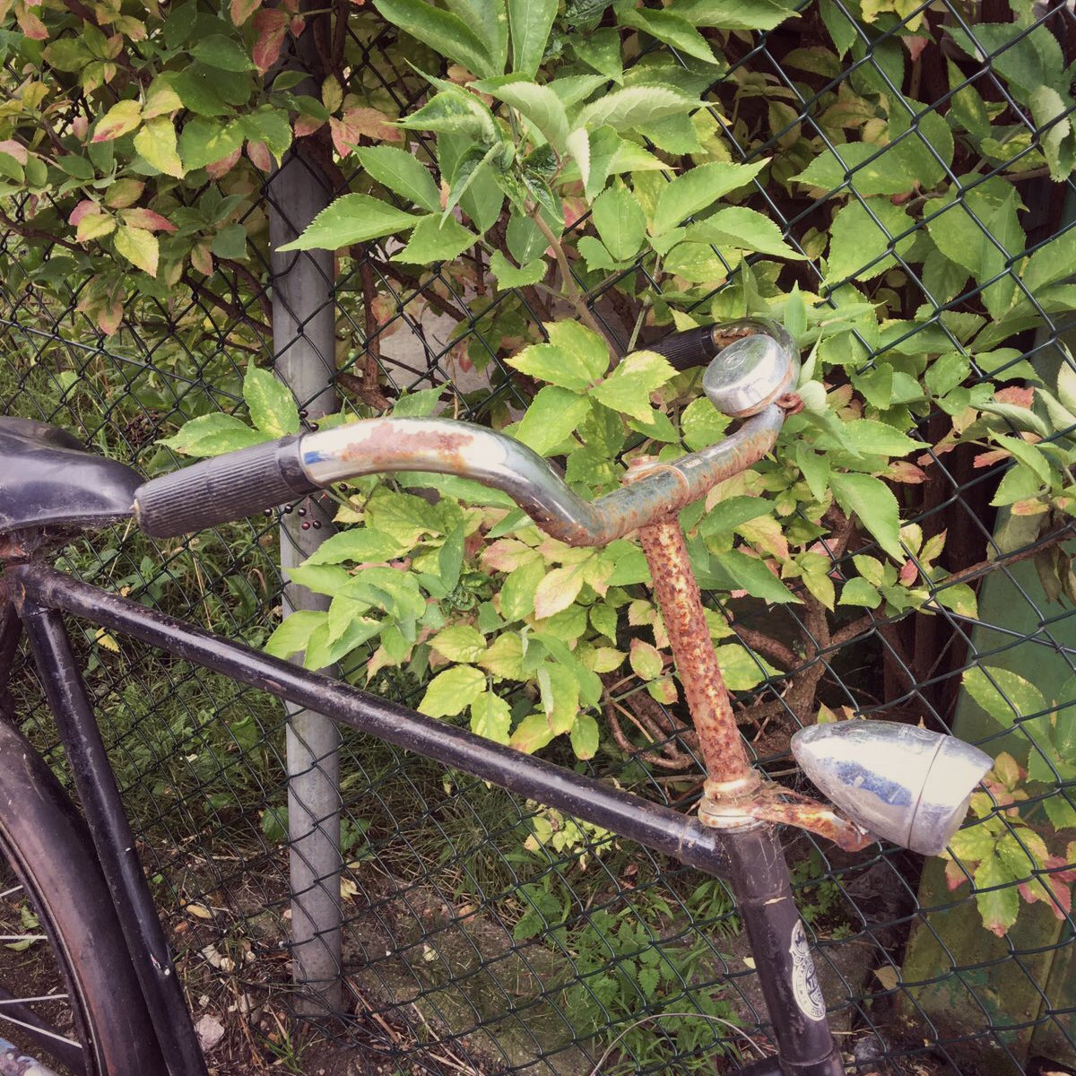 Afhaalmaaltijd holte enthousiasme Roest verwijderen fiets - Fietsen maken doe je zelf